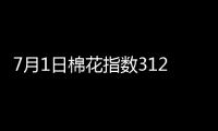 7月1日棉花指數3128B級均價15788元/噸