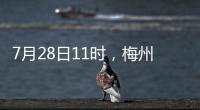 7月28日11時，梅州結束防風Ⅲ級應急響應！