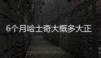 6個月哈士奇大概多大正常  6個月哈士奇大概多大體重