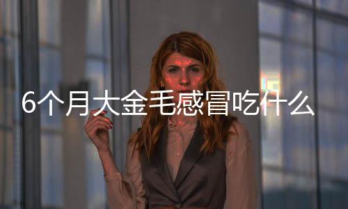 6個月大金毛感冒吃什么藥(6個月大金毛感冒吃什么藥好)
