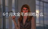 6個月大金毛感冒吃什么藥(6個月大金毛感冒吃什么藥好)