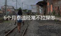 6個月泰迪經常不拉屎怎么辦(六個月泰迪不吃飯怎么回事)