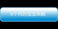 6個月的寶寶早教