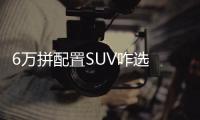 6萬拼配置SUV咋選 長安CS15對瑞風S2