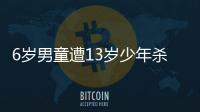 6歲男童遭13歲少年殺害官方通報