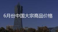 6月份中國大宗商品價格指數小幅回落，仍處于年內高位