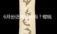 6月份還有櫻桃嗎？櫻桃6月份還有嗎？