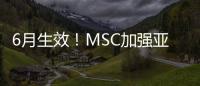 6月生效！MSC加強亞洲內部服務網絡