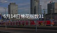 6月14日棉花指數3128B級均價16120元/噸