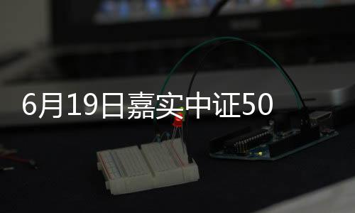 6月19日嘉實中證500ETF聯(lián)接C凈值下跌0.25%