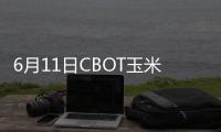 6月11日CBOT玉米下跌