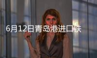 6月12日青島港進口鐵礦（9:15）主流品種市場價格下跌10
