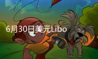 6月30日美元Libor情況一覽