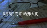 6月6日而來(lái) 哈弗大狗追獵版帶來(lái)這些驚喜