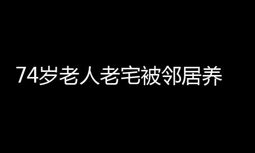 74歲老人老宅被鄰居養豬場拉鐵網圈占，村支書回應