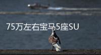 75萬左右寶馬5座SUV推薦 哪一款是你的菜