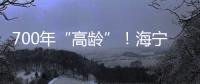 700年“高齡”！海寧現存最古老的石橋，架起村民鄉愁路