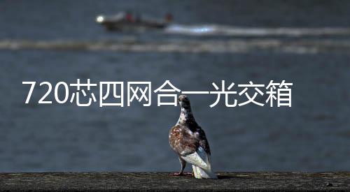 720芯四網合一光交箱圖文并茂介紹