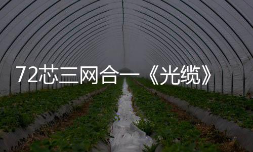 72芯三網合一《光纜》光纖交接箱