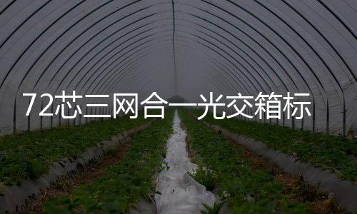 72芯三網(wǎng)合一光交箱標(biāo)準(zhǔn)參數(shù)介紹