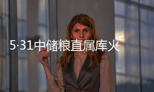 5·31中儲糧直屬庫火災事故(關于5·31中儲糧直屬庫火災事故簡述)