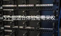 5個最適合體驗葡萄采收之趣的地方