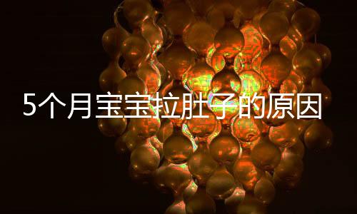 5個月寶寶拉肚子的原因