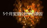 5個月寶寶拉肚子的原因