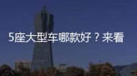 5座大型車哪款好？來看看哪一款才是你的菜