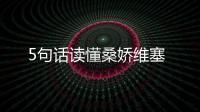 5句話讀懂桑嬌維塞