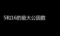 5和16的最大公因數(shù) 5和16的最大公因數(shù)是什么