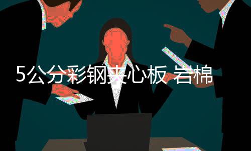 5公分彩鋼夾心板 巖棉填充 耐高溫 隔音降噪
