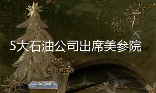 5大石油公司出席美參院油價(jià)聽證會(huì)