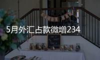 5月外匯占款微增234億元