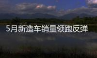 5月新造車銷量領跑反彈 第二梯隊全員激增