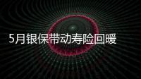 5月銀保帶動(dòng)壽險(xiǎn)回暖 負(fù)增長(zhǎng)者依舊超50%