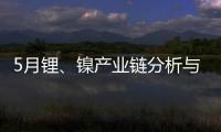 5月鋰、鎳產業鏈分析與展望：電池金屬短線分化，關注供給放量節奏