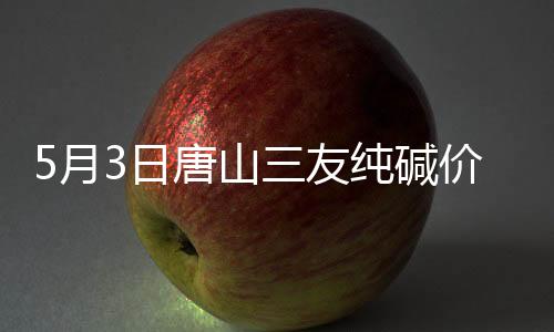 5月3日唐山三友純堿價格快報,企業(yè)新聞