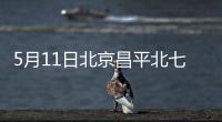 5月11日北京昌平北七家鎮王府花園社區核酸檢測通知