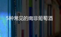5種常見的南非葡萄酒