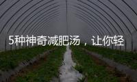 5種神奇減肥湯，讓你輕松減贅肉湯
