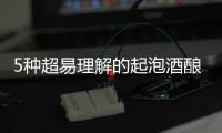 5種超易理解的起泡酒釀造方法