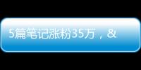 5篇筆記漲粉35萬，“勸學”成小紅書新流量密碼