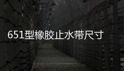 651型橡膠止水帶尺寸CB300*8