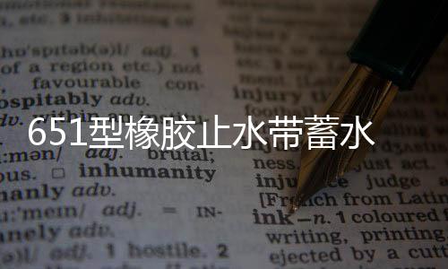 651型橡膠止水帶蓄水池專用