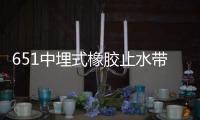 651中埋式橡膠止水帶廠家