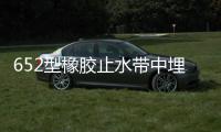 652型橡膠止水帶中埋式300x8施工固定