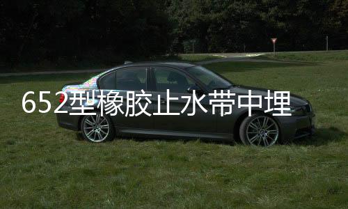 652型橡膠止水帶中埋式300x8施工固定