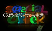 653型橡膠止水帶中埋式廠家/公司