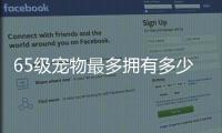 65級寵物最多擁有多少內單（65級寵物最多可擁有多少個內丹）